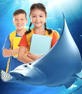 Yıllık Üyelik Öğrenci